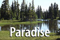 Paradise Meadows Mount Washington