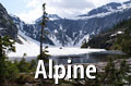 Comox Valley Alpine Photography